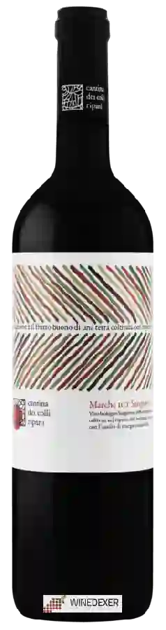 Winery Colli Ripani - Sangiovese Winery Colli Ripani - Sangiovese