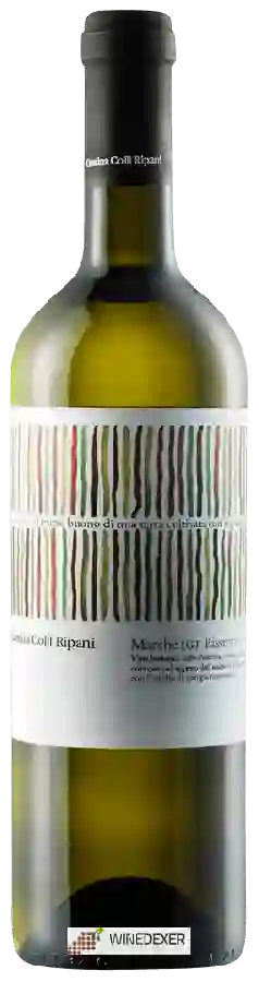 Winery Colli Ripani - Passerina Winery Colli Ripani - Passerina