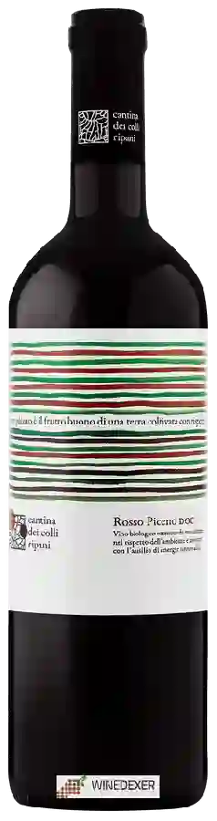 Winery Colli Ripani - Rosso Piceno Winery Colli Ripani - Rosso Piceno