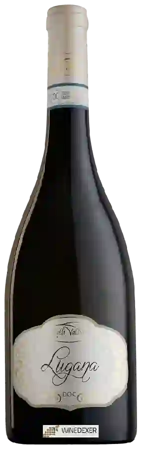 Winery Colli Vaibò - Lugana