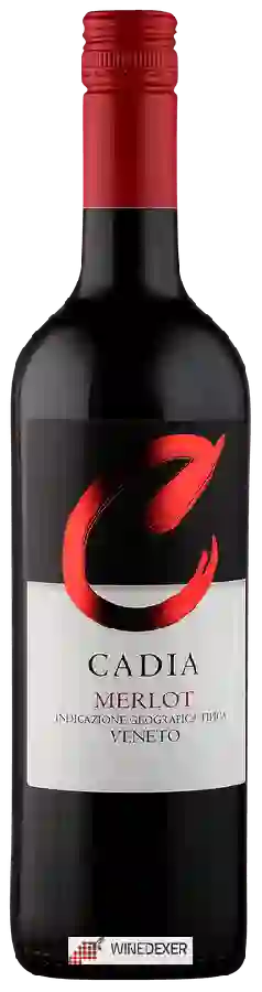 Winery Colli Vicentini - Cadia Merlot