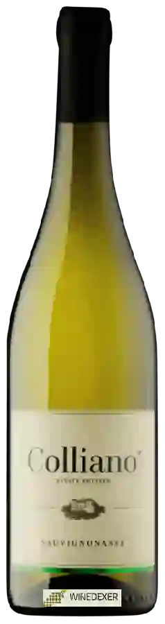 Winery Colliano - Sauvignonasse Winery Colliano - Sauvignonasse