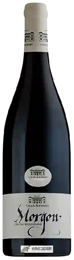 Winery Collin-Bourisset - Morgon Winery Collin-Bourisset - Morgon
