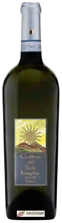 Winery Colline del Sole - Falanghina del Sannio Winery Colline del Sole - Falanghina del Sannio