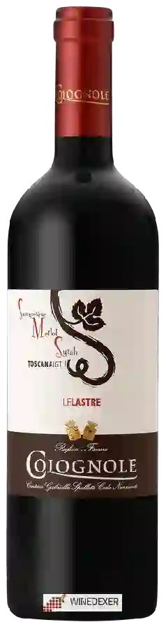 Winery Colognole - Le Lastre