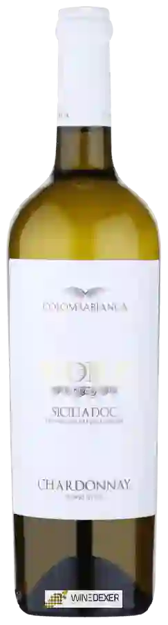 Winery Cantina Colomba Bianca - Kore Chardonnay Winery Cantina Colomba Bianca - Kore Chardonnay