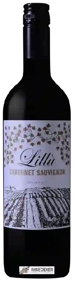 Winery Cantina Colomba Bianca - Lillù Cabernet Sauvignon