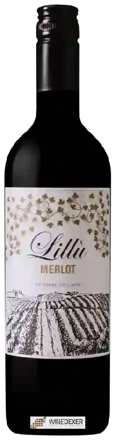 Winery Cantina Colomba Bianca - Lillù Merlot