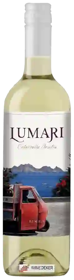 Winery Cantina Colomba Bianca - Lumari Catarratto - Inzolia