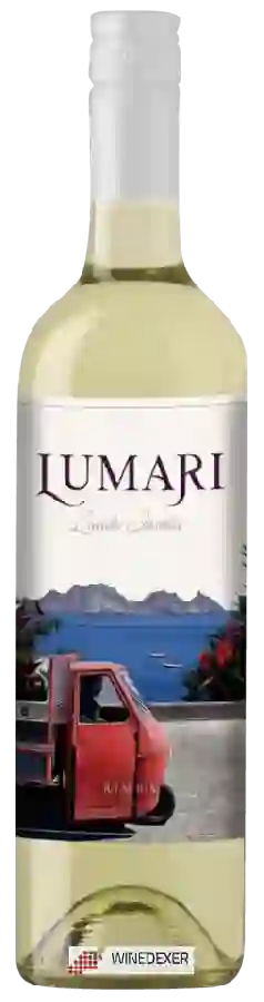 Winery Cantina Colomba Bianca - Lumari Lucido Insolia