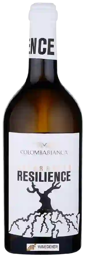 Winery Cantina Colomba Bianca - Resilience Catarratto