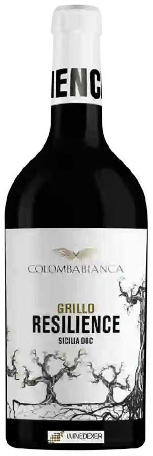 Winery Cantina Colomba Bianca - Resilience Grillo