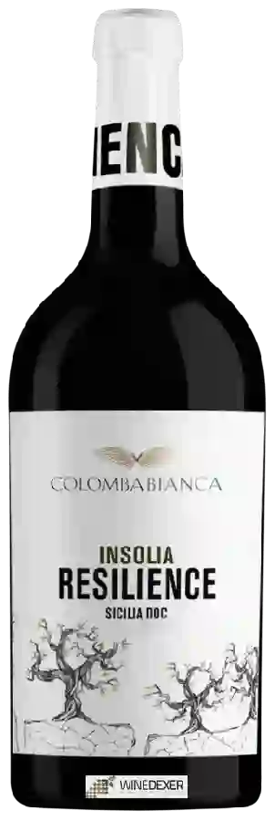Winery Cantina Colomba Bianca - Resilience Insolia Winery Cantina Colomba Bianca - Resilience Insolia