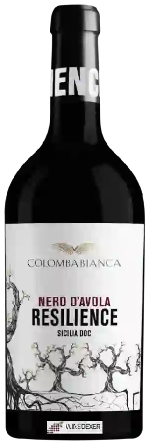 Winery Cantina Colomba Bianca - Resilience Nero d'Avola