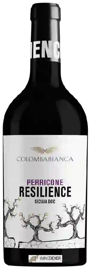 Winery Cantina Colomba Bianca - Resilience Perricone