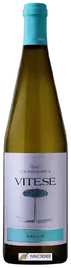 Winery Cantina Colomba Bianca - Vitese Grillo