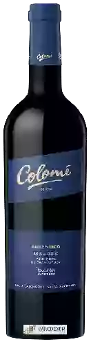 Winery Colomé - Auténtico Malbec