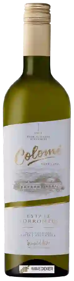 Winery Colomé - Estate Torrontes