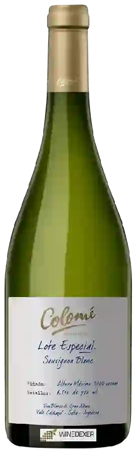 Winery Colomé - Lote Especial Sauvignon Blanc