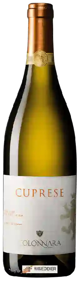 Winery Colonnara - Cuprese Verdicchio dei Castelli di Jesi Classico Superiore