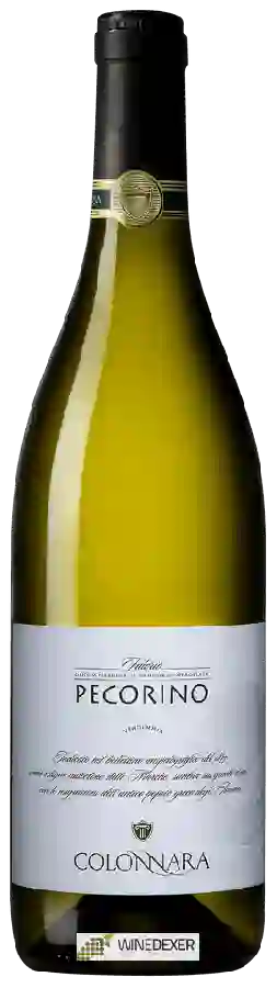 Winery Colonnara - Falerio Pecorino