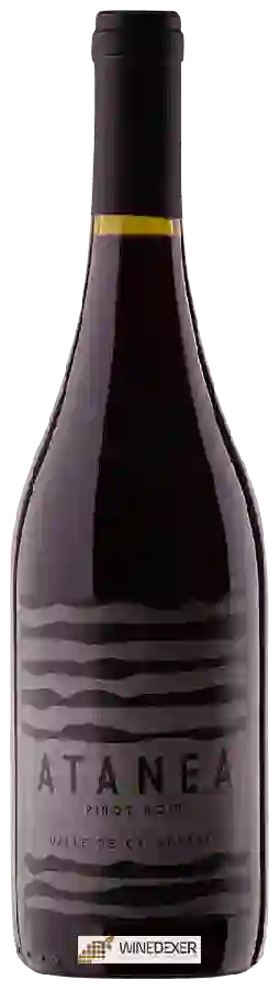 Winery Colosses - Atanea Pinot Noir Winery Colosses - Atanea Pinot Noir