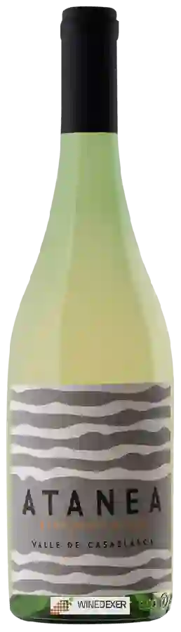 Winery Colosses - Atanea Sauvignon Blanc