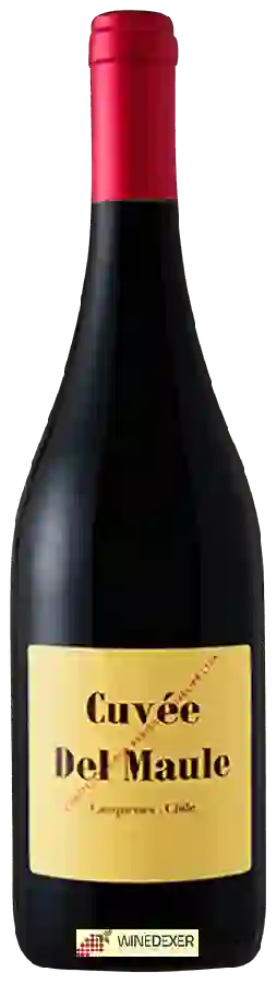 Winery Colosses - Cuvée del Maule Winery Colosses - Cuvée del Maule