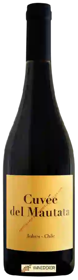 Winery Colosses - Cuvée del Mautata