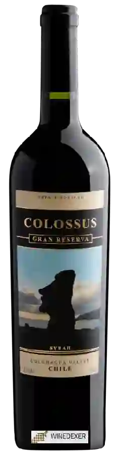 Winery Colossus - Gran Reserva Syrah Winery Colossus - Gran Reserva Syrah