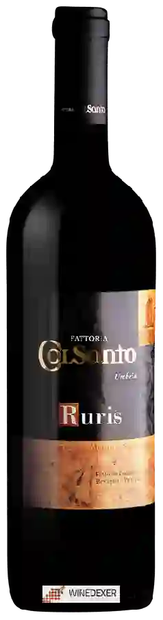 Winery Colsanto - Ruris Umbria