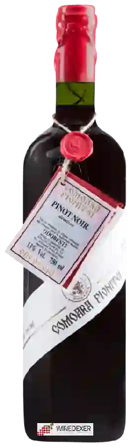 Winery Comoara Pivniței - Pinot Noir Demisec