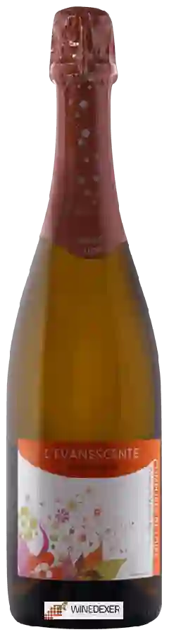 Winery Complices de Loire - L'Evanescente Montlouis Winery Complices de Loire - L'Evanescente Montlouis