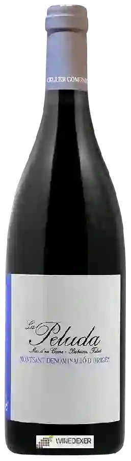 Winery Comunica - La Peluda Winery Comunica - La Peluda