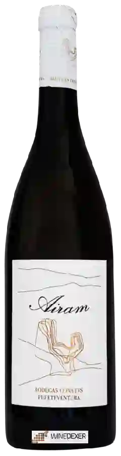 Winery Conatvs - Airam Fuerteventura