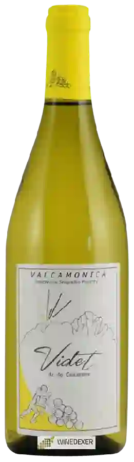 Winery Azienda Agricola Concarena - Videt Bianco