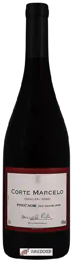 Winery Concha y Toro - Corte Marcelo Pinot Noir