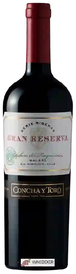 Winery Concha y Toro - Gran Reserva Serie Riberas Malbec