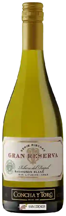 Winery Concha y Toro - Gran Reserva Serie Riberas Sauvignon Blanc