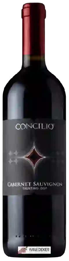 Winery Concilio - Cabernet Sauvignon Trentino Winery Concilio - Cabernet Sauvignon Trentino