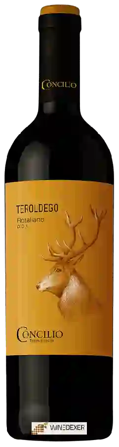 Winery Concilio - Nativi Rotaliano Teroldego Winery Concilio - Nativi Rotaliano Teroldego