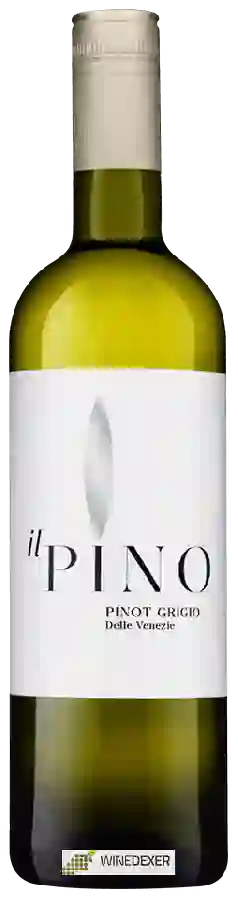 Winery Concilio - Il Pino Pinot Grigio Winery Concilio - Il Pino Pinot Grigio