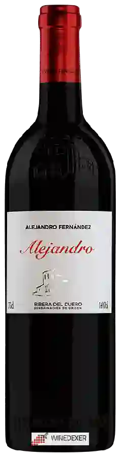 Winery Condado de Haza - Alejandro Ribera del Duero Winery Condado de Haza - Alejandro Ribera del Duero