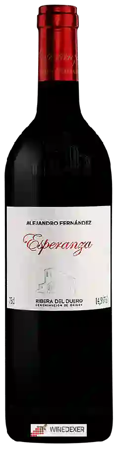 Winery Condado de Haza - Esperanza Winery Condado de Haza - Esperanza