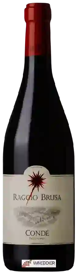 Winery Conde - Predappio Raggio Brusa Winery Conde - Predappio Raggio Brusa