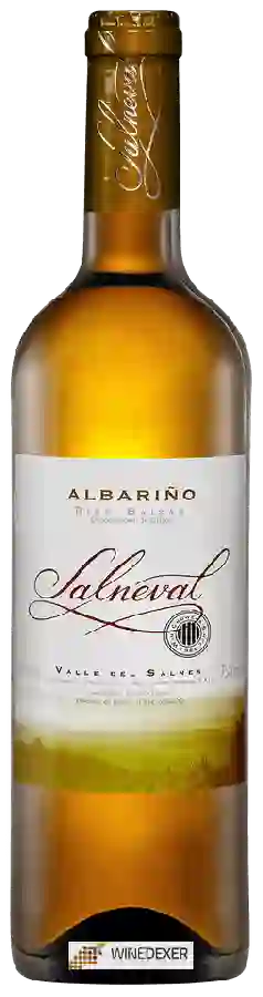 Winery Condes de Albarei - Salneval Albariño Winery Condes de Albarei - Salneval Albariño