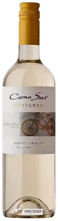 Winery Cono Sur - Bicicleta Pinot Grigio