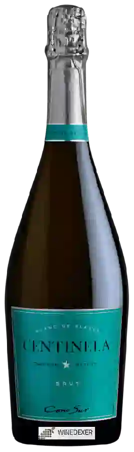 Winery Cono Sur - Centinela Blanc de Blancs Brut
