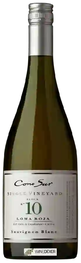 Winery Cono Sur - Loma Roja Block No. 10 Single Vineyard Sauvignon Blanc
