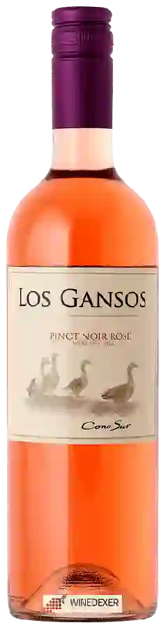 Winery Cono Sur - Los Gansos Pinot Noir Rosé Winery Cono Sur - Los Gansos Pinot Noir Rosé